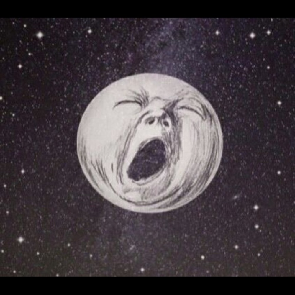 Meet your Posher, Ash